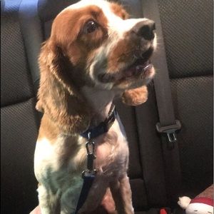 Meet your Posher, Javier